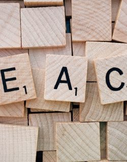 teach-1820041_1920-16x9